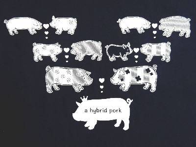 IWisVc@hybrid pork 