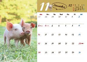 2019 卓上カレンダー Lucky Pig